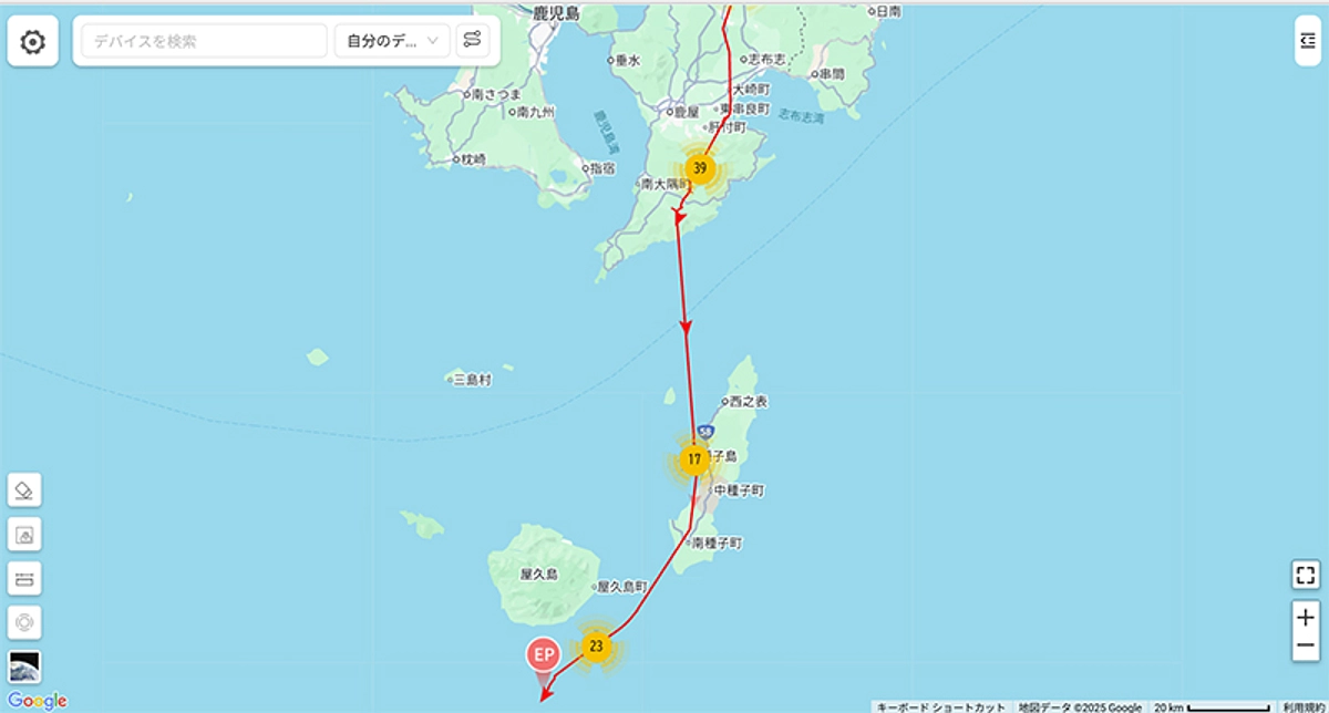 【速報】サシバの渡り報告　10月2日