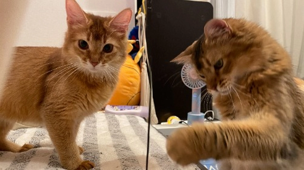 ★2023年10月25日：投薬36日目★