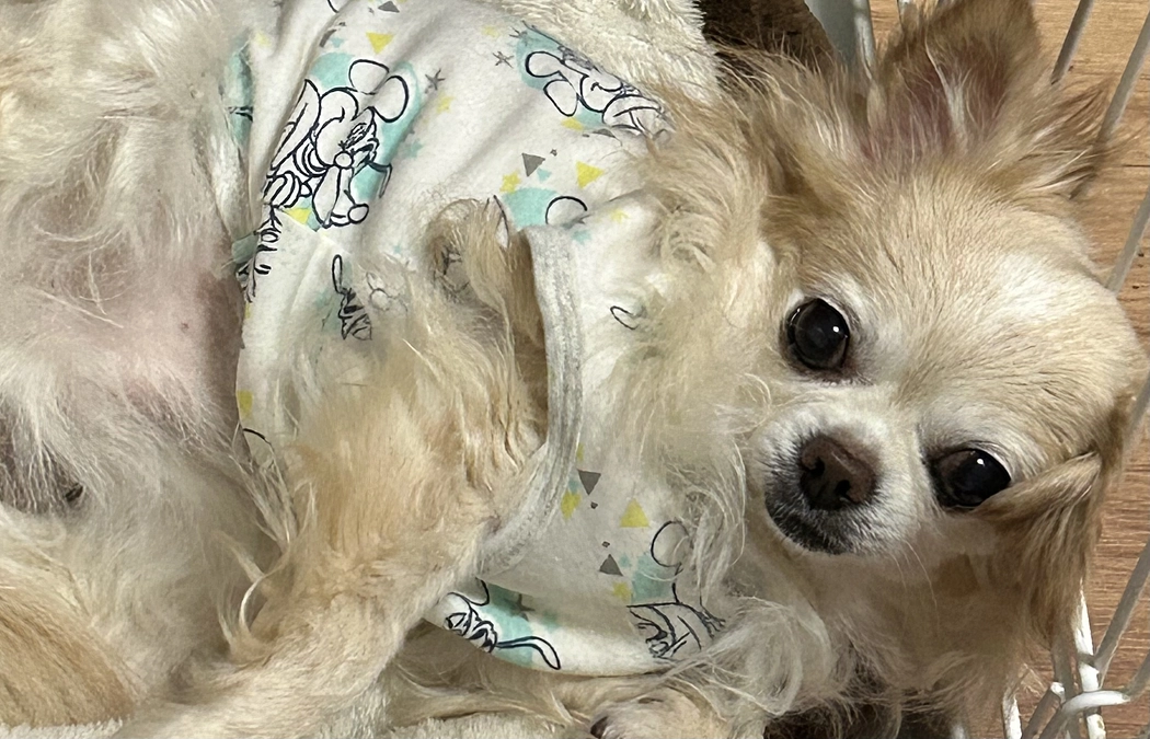 昨夜は咳が多かったです。