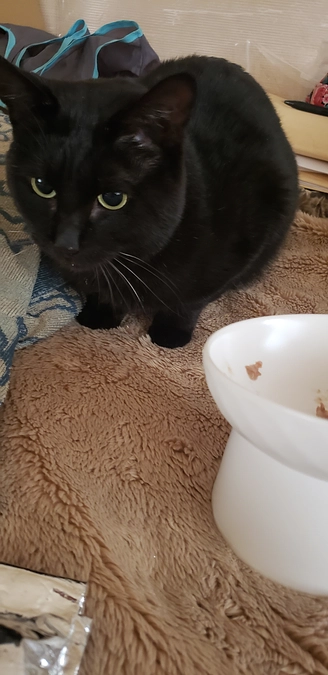 代理支援にて明日コンビニ払いで事実上達成になりました。