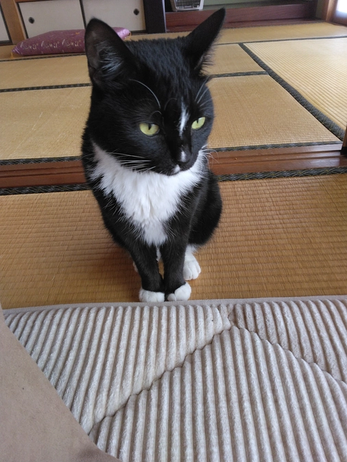 5/20はなちゃんの様子