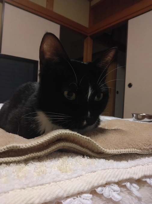 5/18はなちゃんの様子