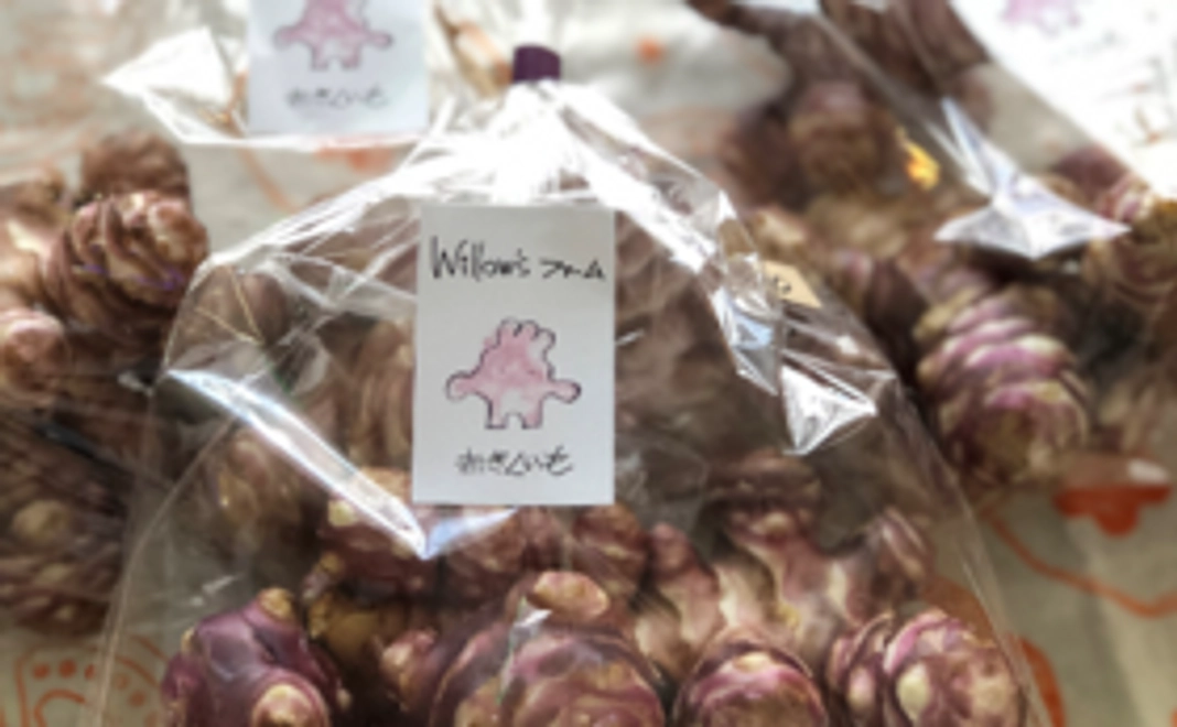 Willow'sファームの赤菊芋（ お試しセット）