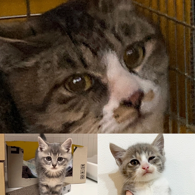 まだまだ、続きますよ！