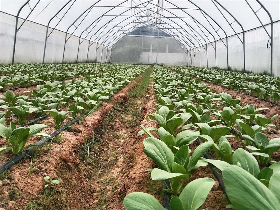 【残り3分の１】あと２０日間にやるべきこと