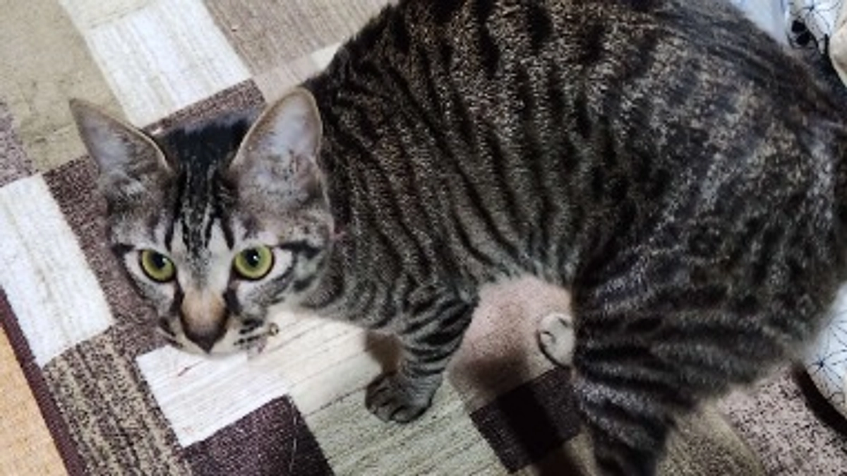 【🍀ご報告🍀】