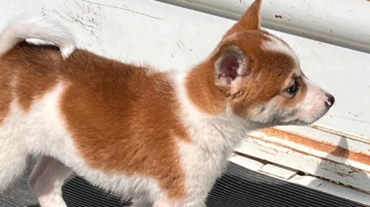 まさかの出来事が起こりました