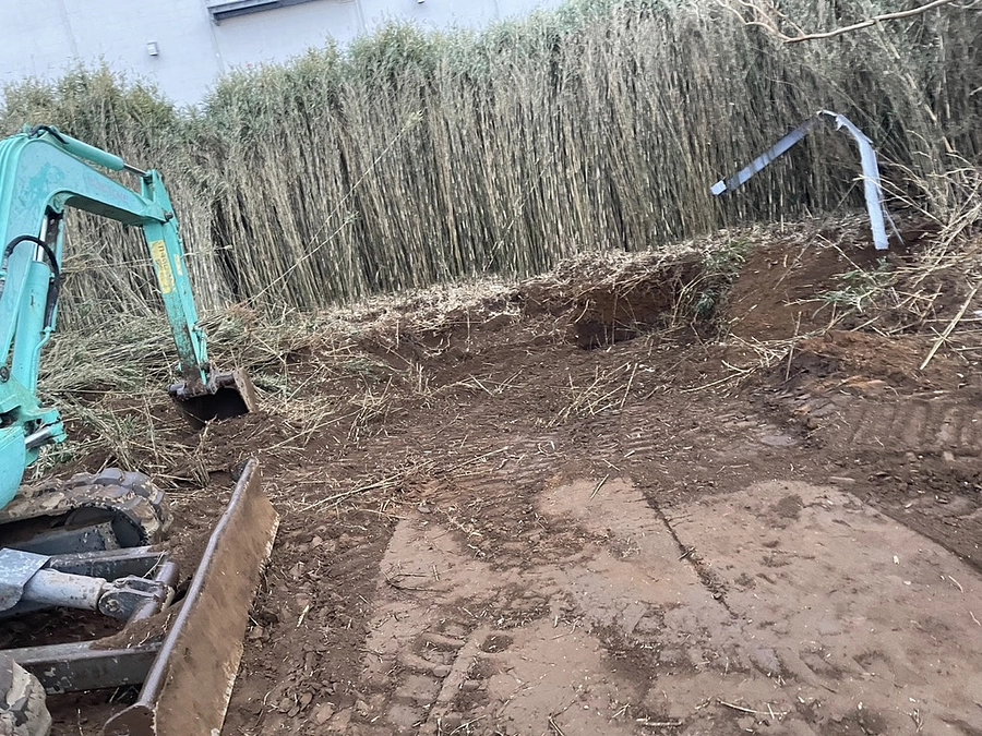 隣の篠林の土地が、、、！！！！