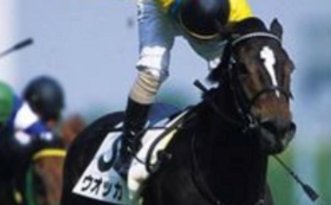 ポストカード＆カレンダー