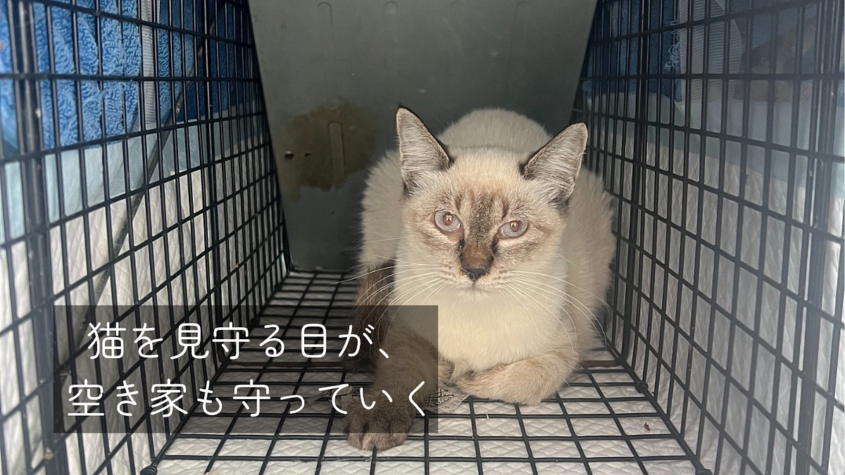 猫を見守る目が、空き家も守っていく🐾#18
