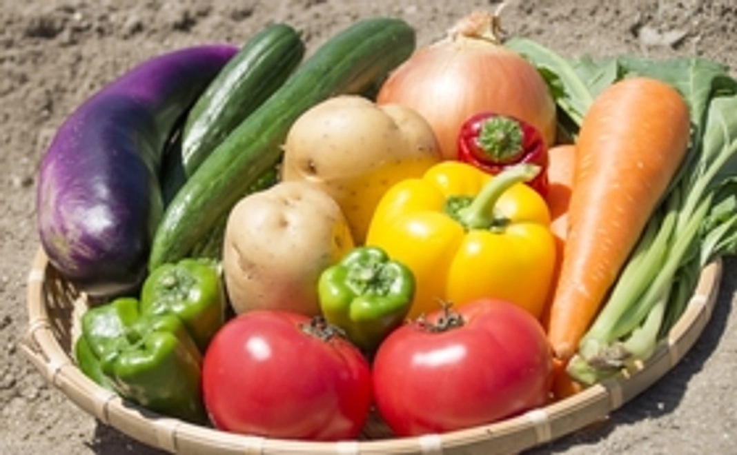 感謝のメール＆自然栽培（農薬栽培期間中不使用）野菜おまかせセット（2種類2名様分）