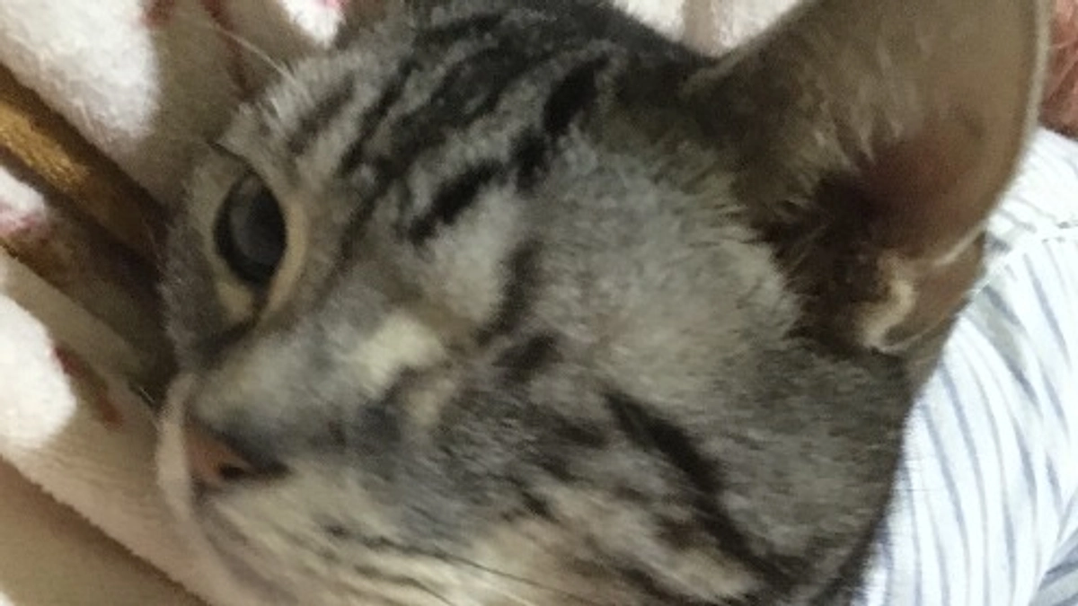 急に寒さが増して…