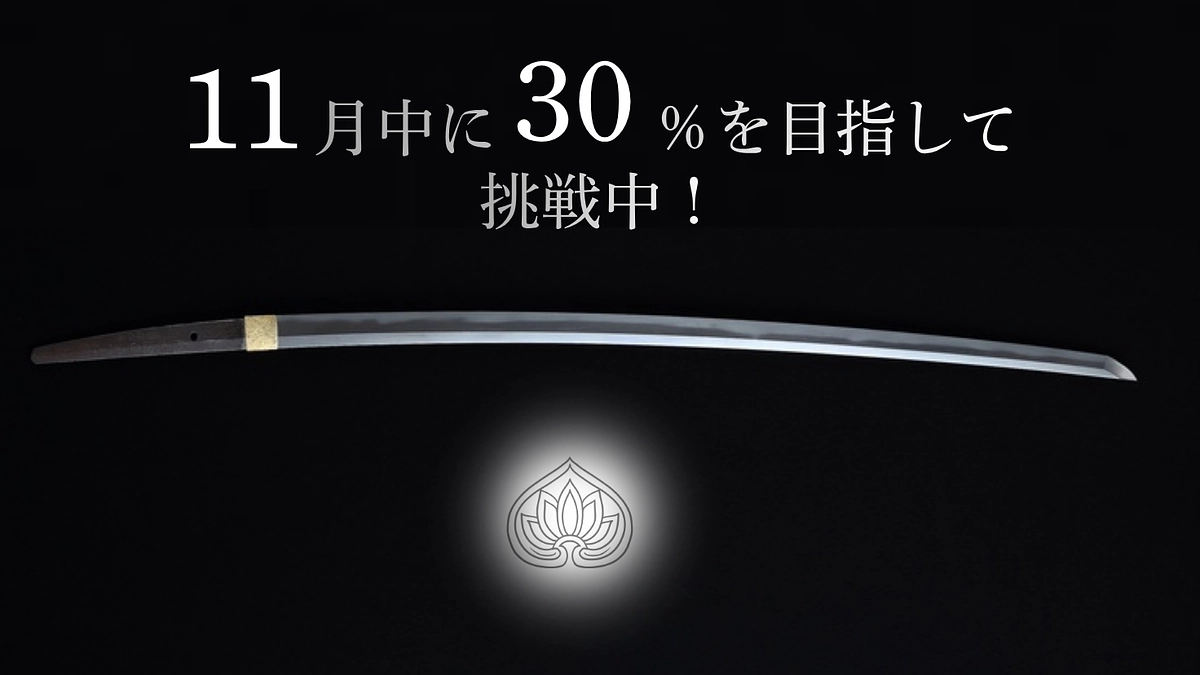 11月中に目標額の30％到達を目指して挑戦中です！