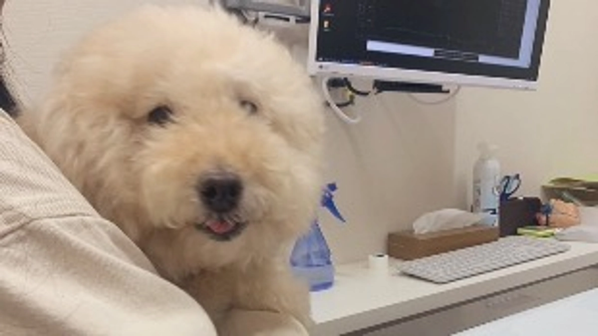 本日から入院です / 残り3日となりました！