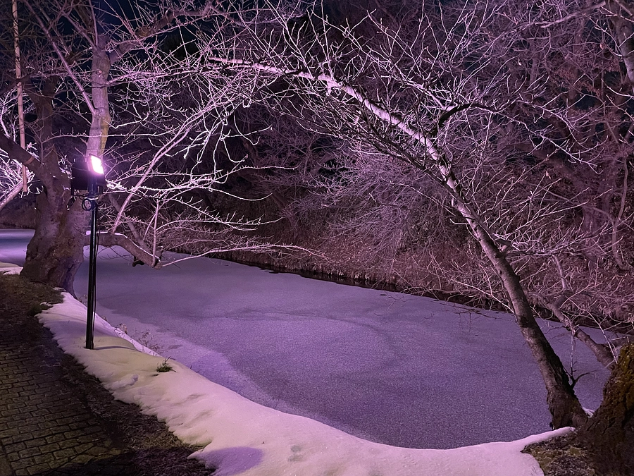 1月半ばらしい天候になりました。