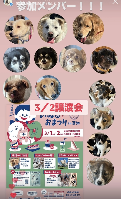 準備着々と…3/2は譲渡会！！