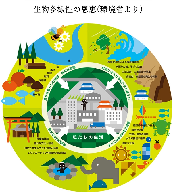 ブログを更新しました。