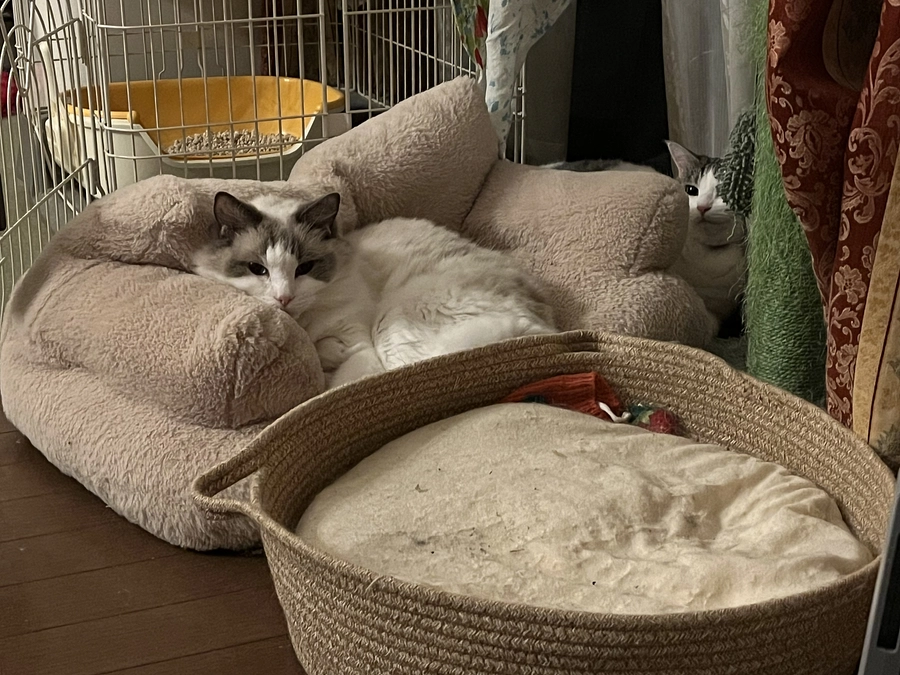 0615の血液検査結果について