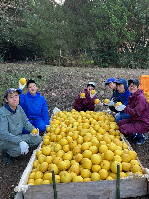 291%になりました！残り６時間！最後までご支援心よりありがとうございます！