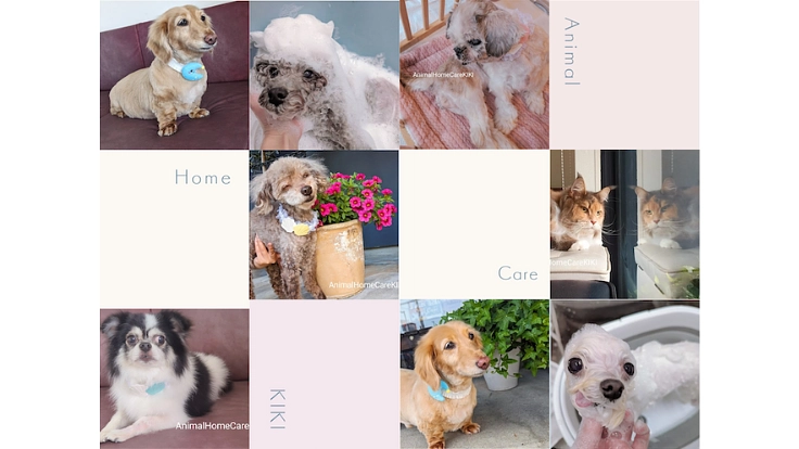 介護シニア専門のトリミングサロン 予約枠拡大のため内装工事費 3枚目