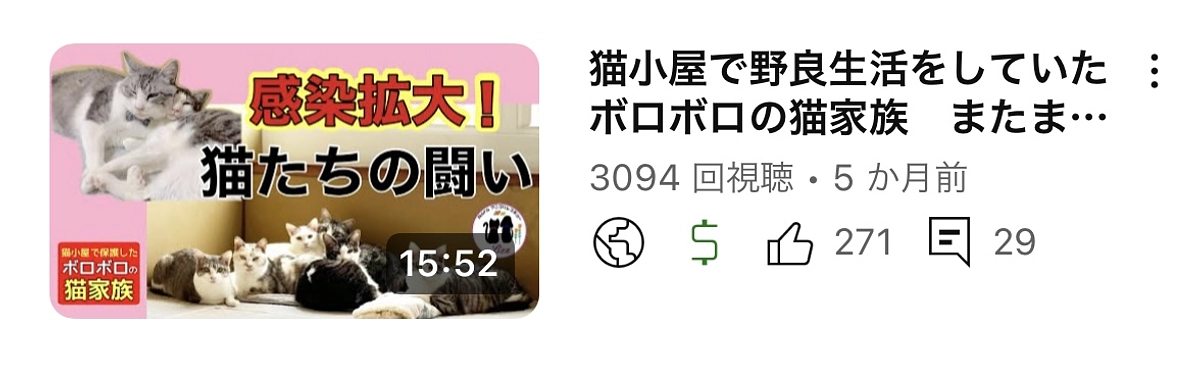 恐れていた猫風邪発症しました