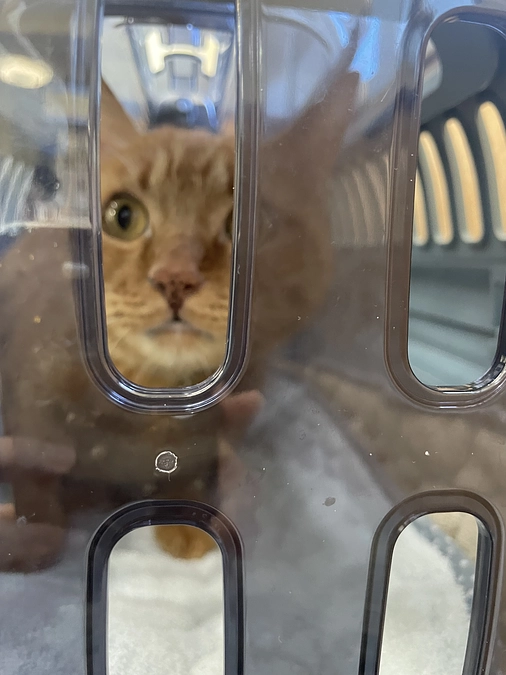 8月26(日)土曜日　抗がん剤8週目💉