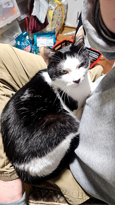 五島市で山火事