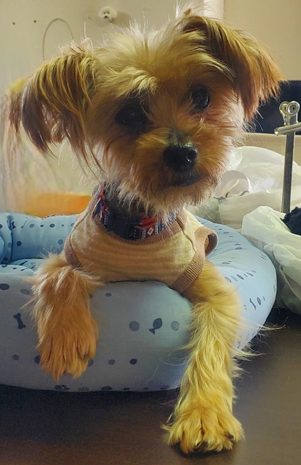 ご報告いたします！