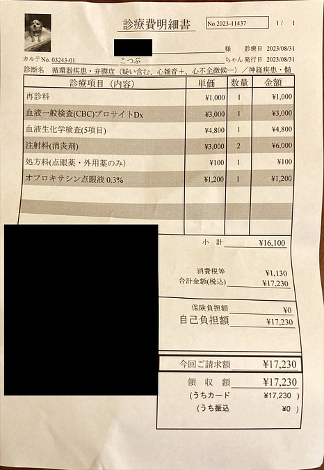 医療費明細書について