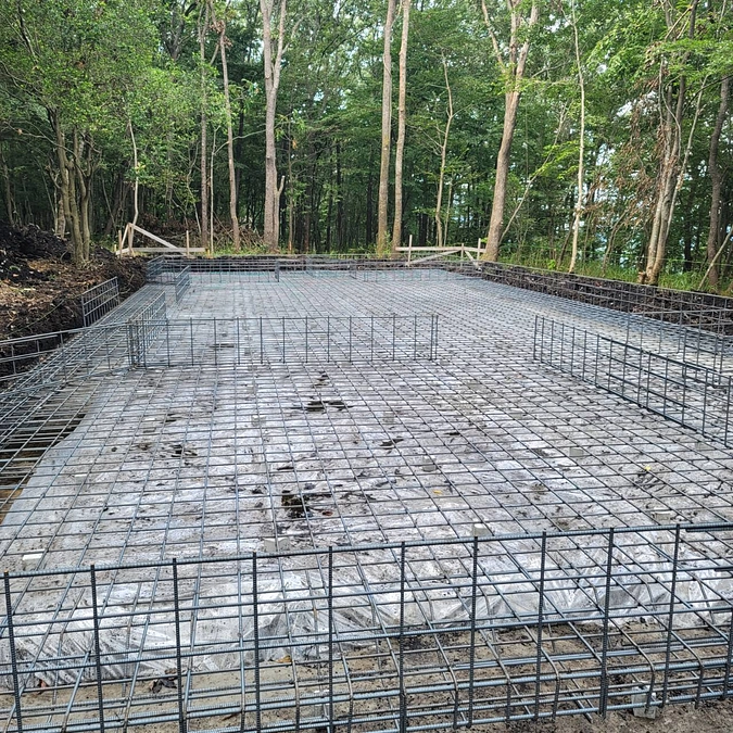 秋を感じる森の様子