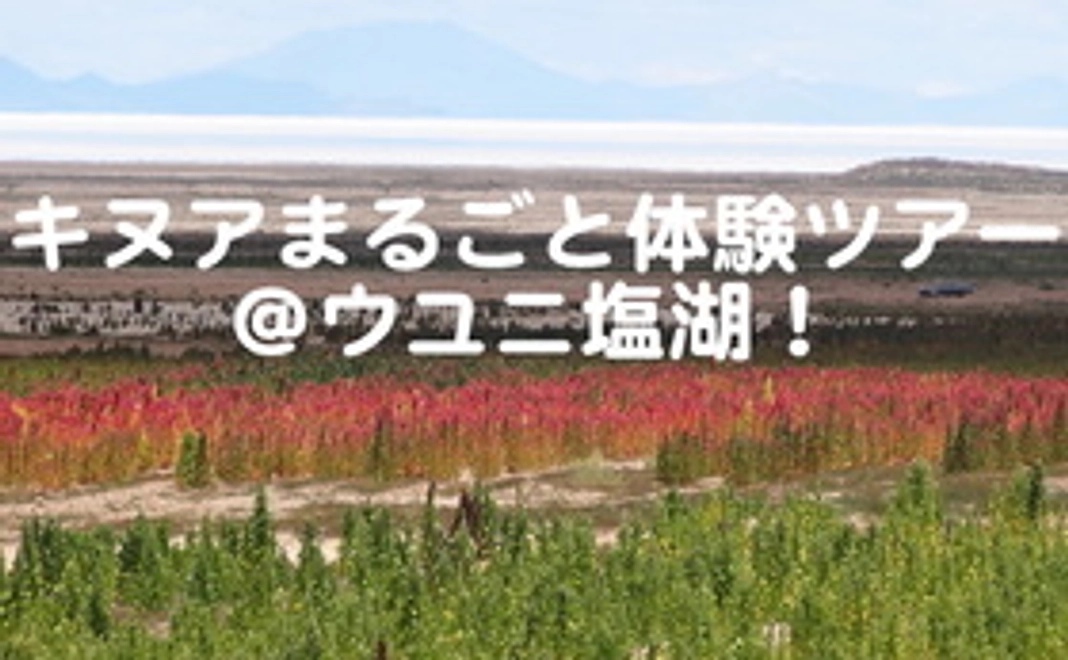 ☆☆☆「キヌアまるごと体験ツアー＠ウユニ塩湖！」☆☆☆