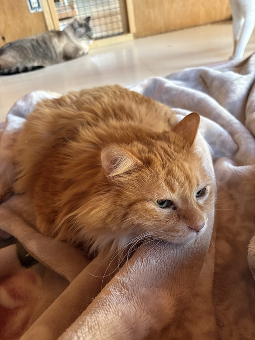 トライアル、一旦中止となりました。