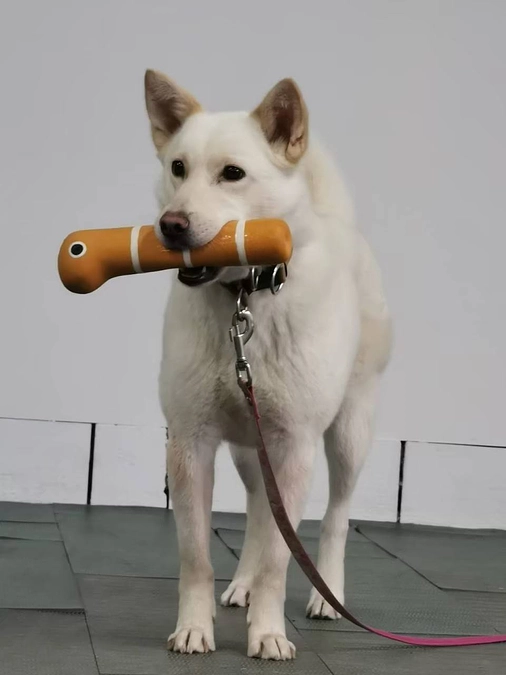 クラウドファンディング9日目