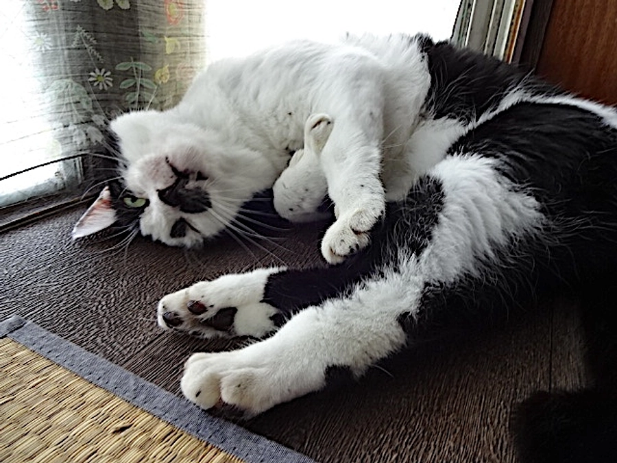 7月の雨の日です。〜梅雨号〜　diary Vol.50