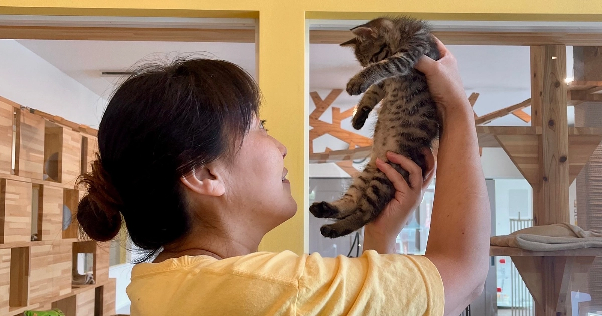 第1目標500万円達成！第2目標800万円挑戦へ！