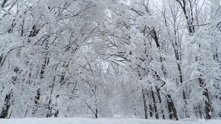豪雪の北海道富良野市に、安価な除雪サービスを提供したい！