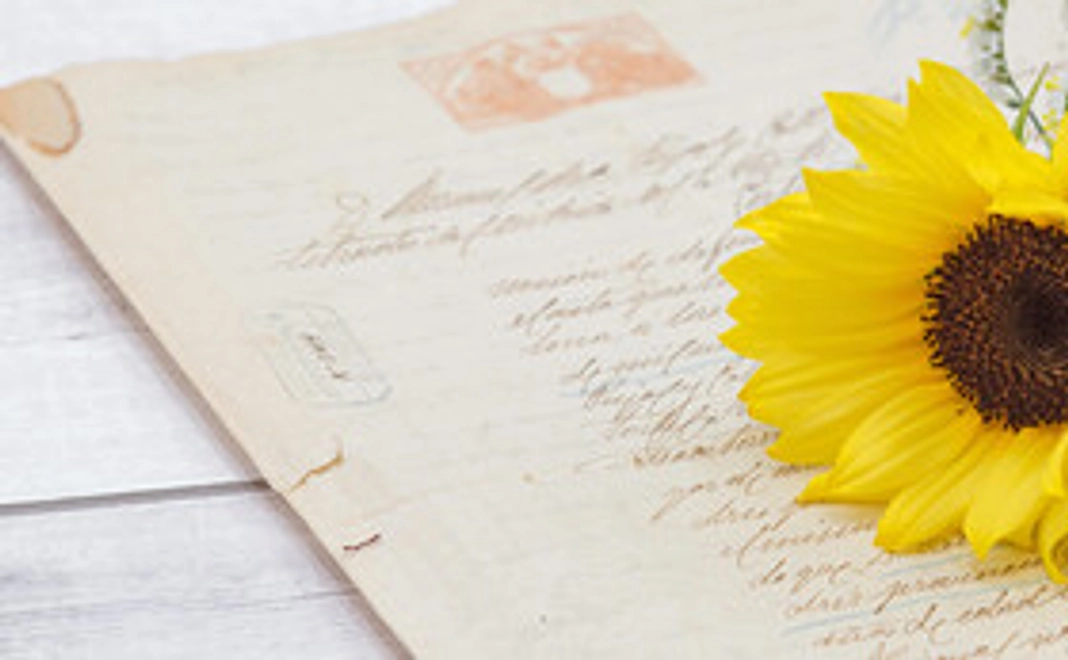 ありがとうございます！感謝のメールを送らせていただきます。