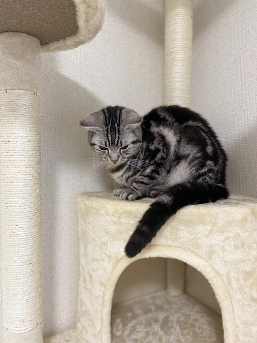 2023.5.12⭐️ #闘病生活 24日目⭐️