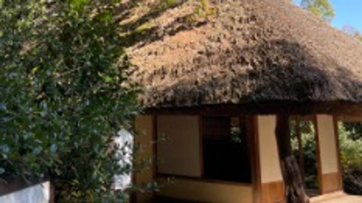 伐採がはじまります。