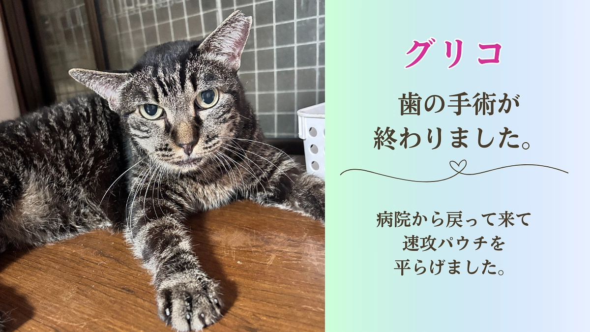 皆様の応援のお陰で無事ネクストゴール迄達成出来ました。【グリコ歯の手術終わりました】