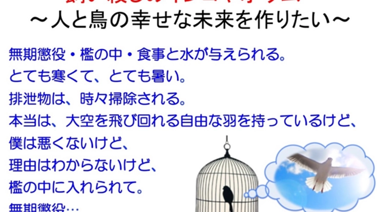 飼い殺しのインコやオウム　〜人と鳥の幸せな未来を作りたい〜