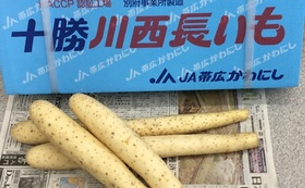 北海道ホクホクリターン（Ａ）