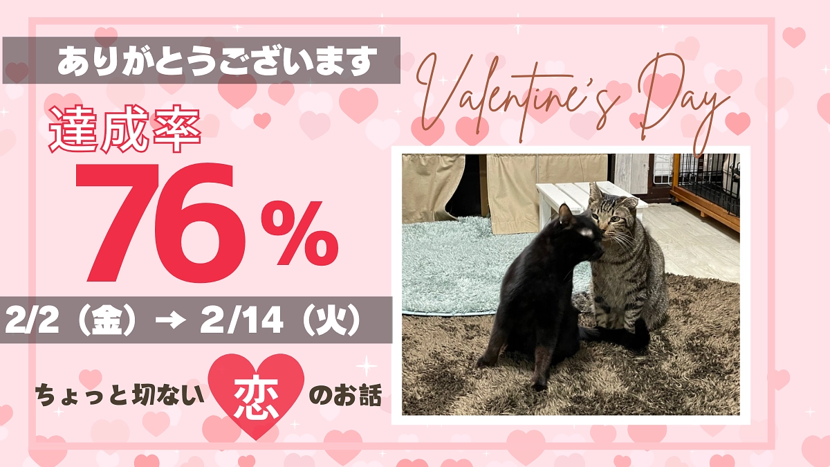 バレンタインとちょっと切ない思い出