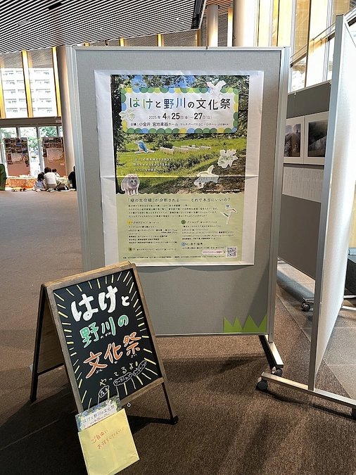 はけと野川の文化祭　27日18時まで｜本日小金井宮地楽器ホールでの文化祭、最終日！