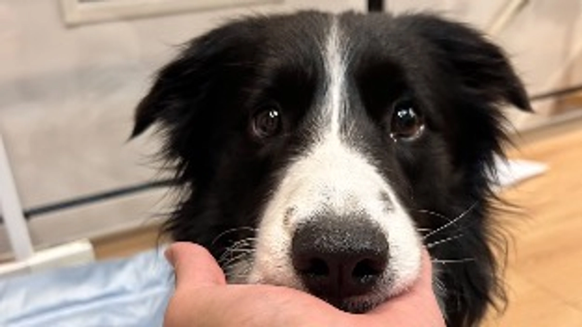 これまでの経緯について