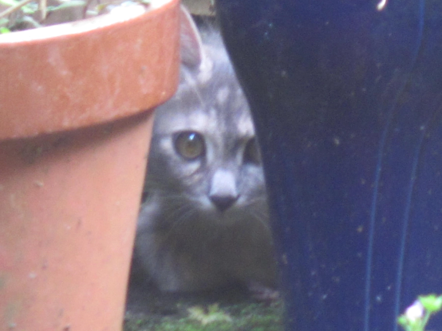 ご支援ご協力をいただき心より感謝申し上げます