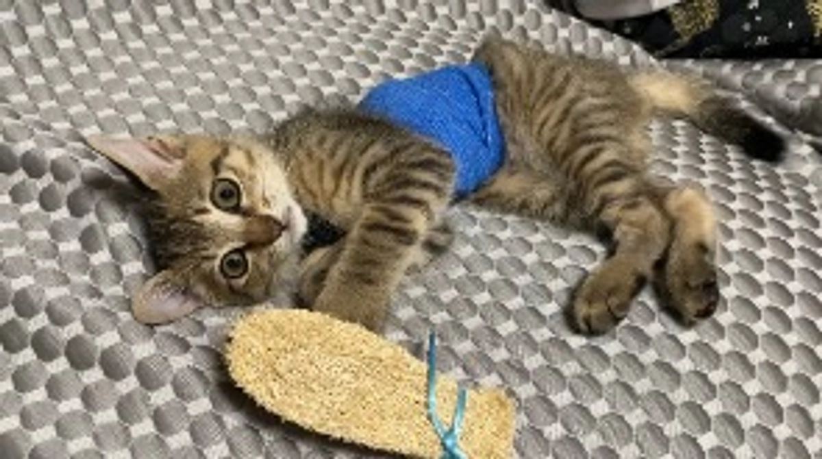 7/18(火)術後２回目の診察