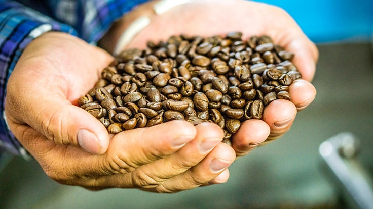 メイドインジャパンのコーヒーを！広島県呉市にコーヒー農園を作りたい