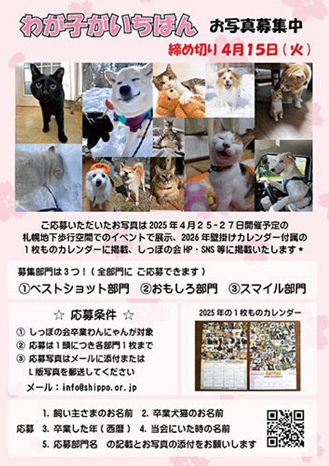 卒業わんにゃん『わが子がいちばん』フォトコンテストの締め切り間近！