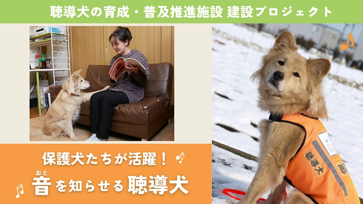 2024年末、ふじみ野市に聴導犬の育成・普及推進施設を建設したい!